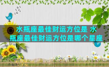 水瓶座最佳财运方位是 水瓶座最佳财运方位是哪个星座